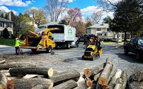 Leaf Removal in River Edge, NJ